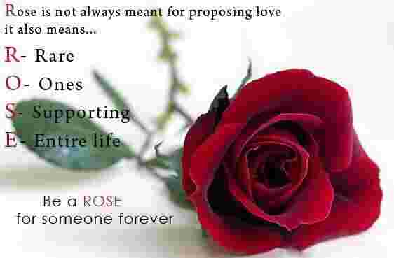 Valentine | Rose Day 7 February Wishes, Shayari, Messages Images Happy Rose Day Wishes Message