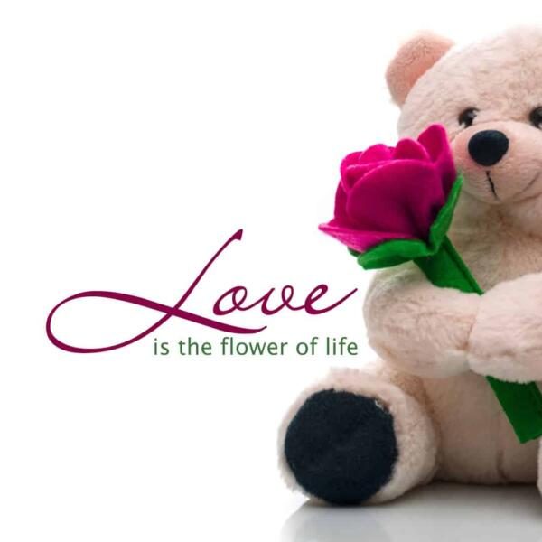 Teddy Day