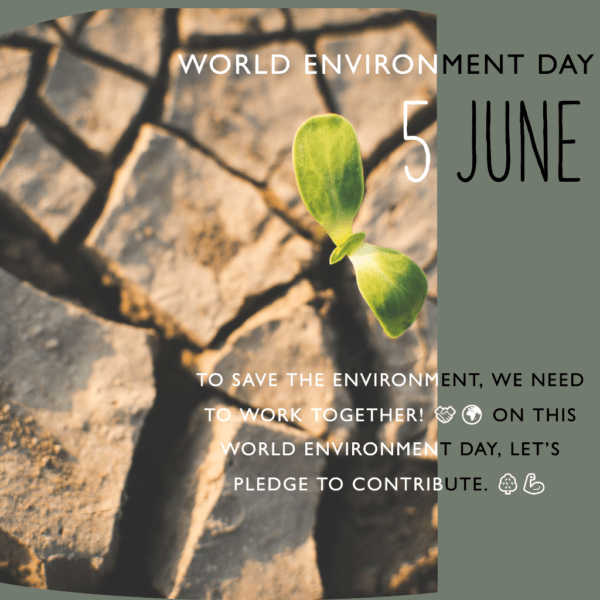 World Environment Day Greeting Quote, Status Messages with images In English & Hindi World Environment Day Quote Message Image
