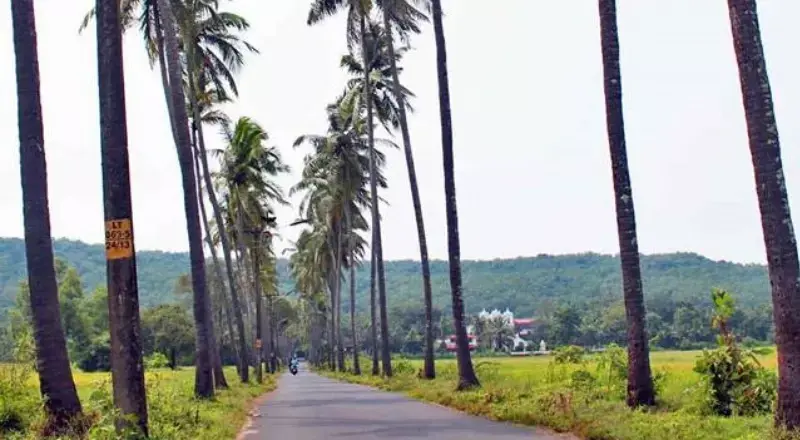 Most Visiting Places in Goa | Dudhsagar | Pali | Beach | Waterfall Dear zindgi road in para road in Goa