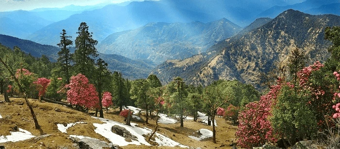 Top 12 Beautiful Hill Stations & Spiritual Destinations in Uttarakhand Kausani a mountain landscape with trees and snow