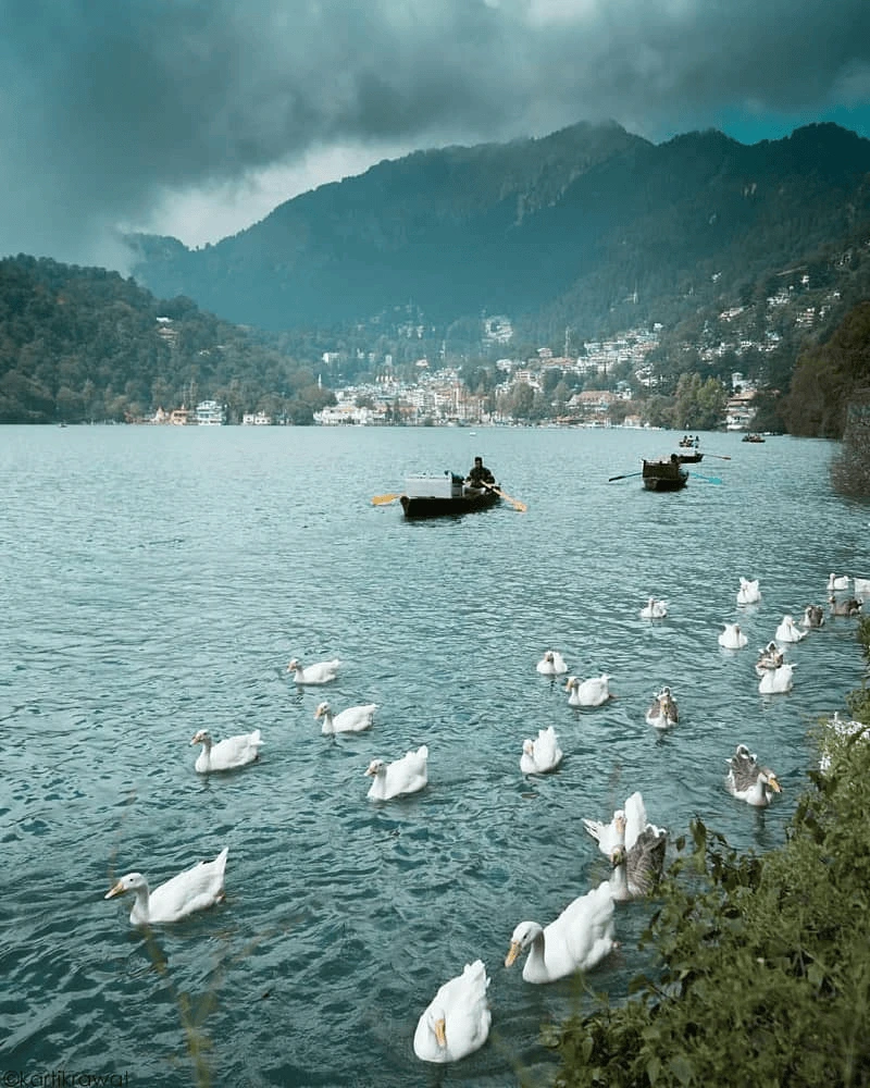 Top 12 Beautiful Hill Stations & Spiritual Destinations in Uttarakhand Nainital Lake India with a group of ducks in a lake