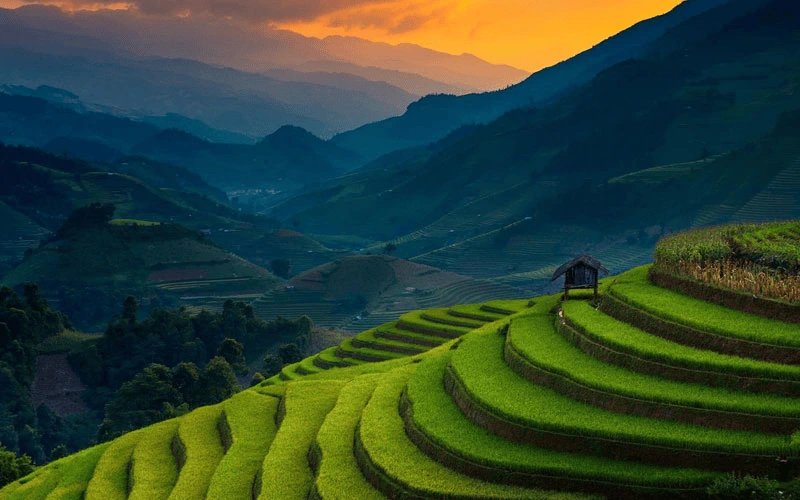 Top 12 Beautiful Hill Stations & Spiritual Destinations in Uttarakhand Ranikhet with a green terraced fields with a hut on top