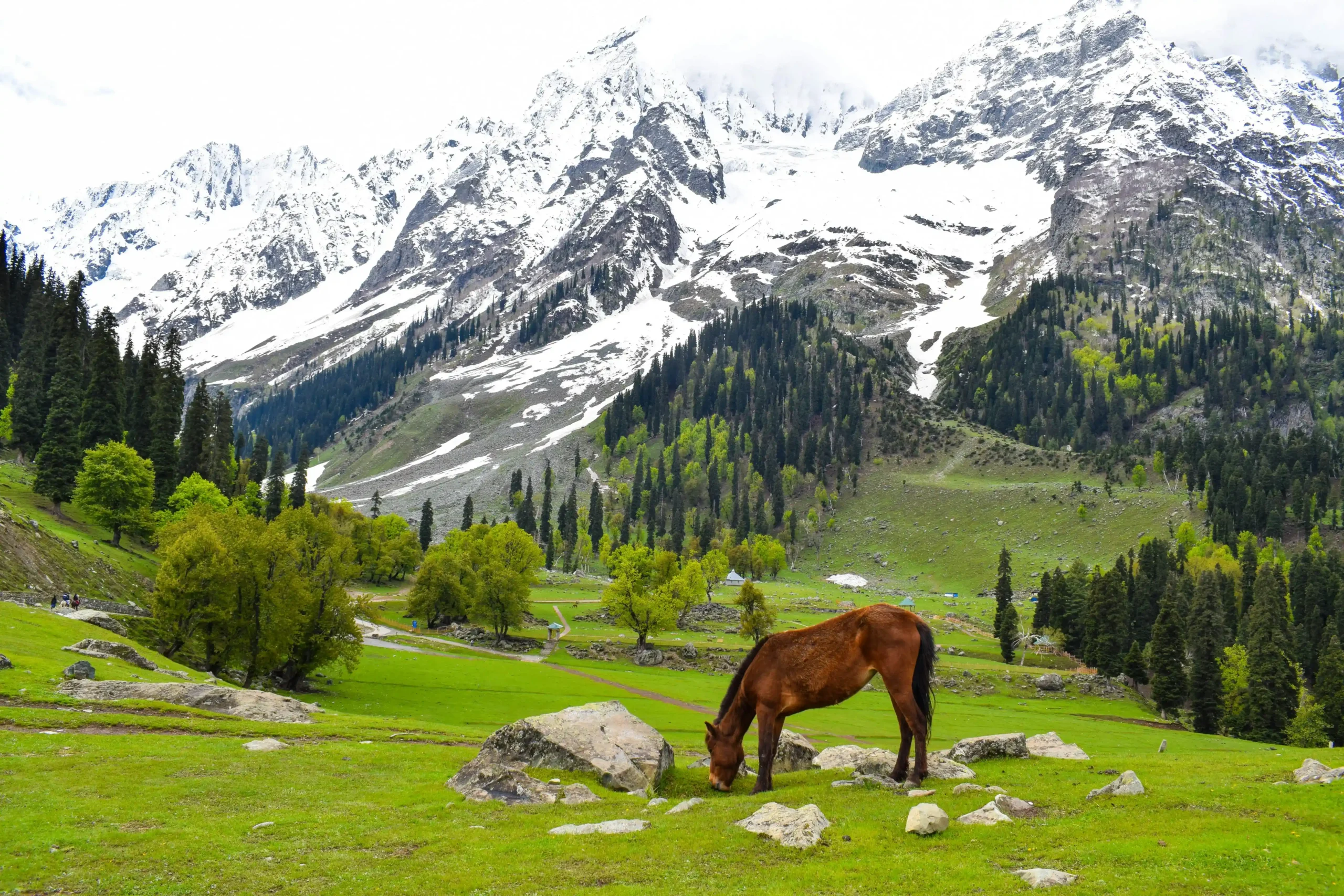 Travel planning tips Sonmarg in Kashmir | Travel planning tips