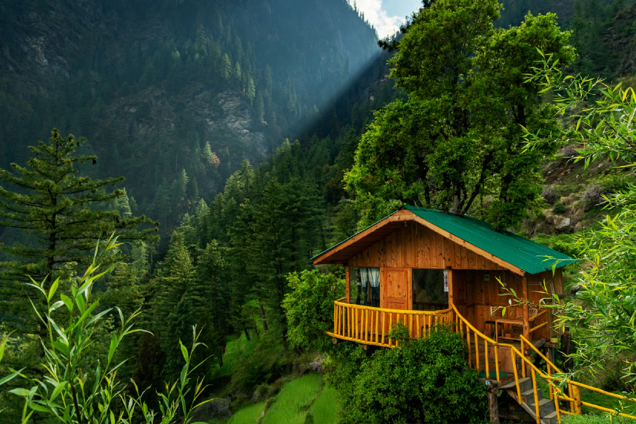 Top 10 Must-Visit Tourist Destinations in Himachal Pradesh jibbi hills station