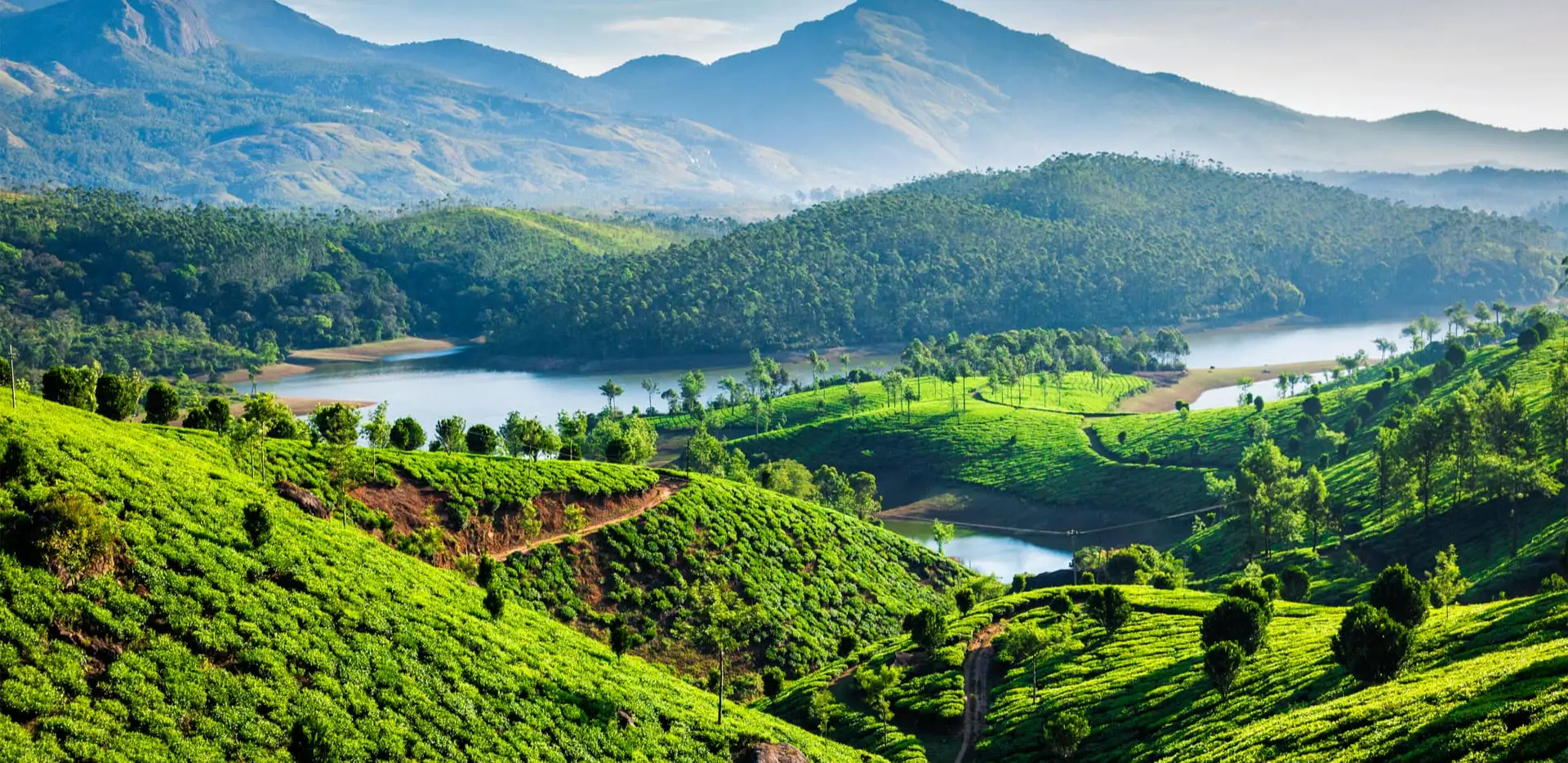 Top 10 Must Visit Destinations in Kerala: Discover Beauty and Culture of God's Own Country Munnar in Kerala
