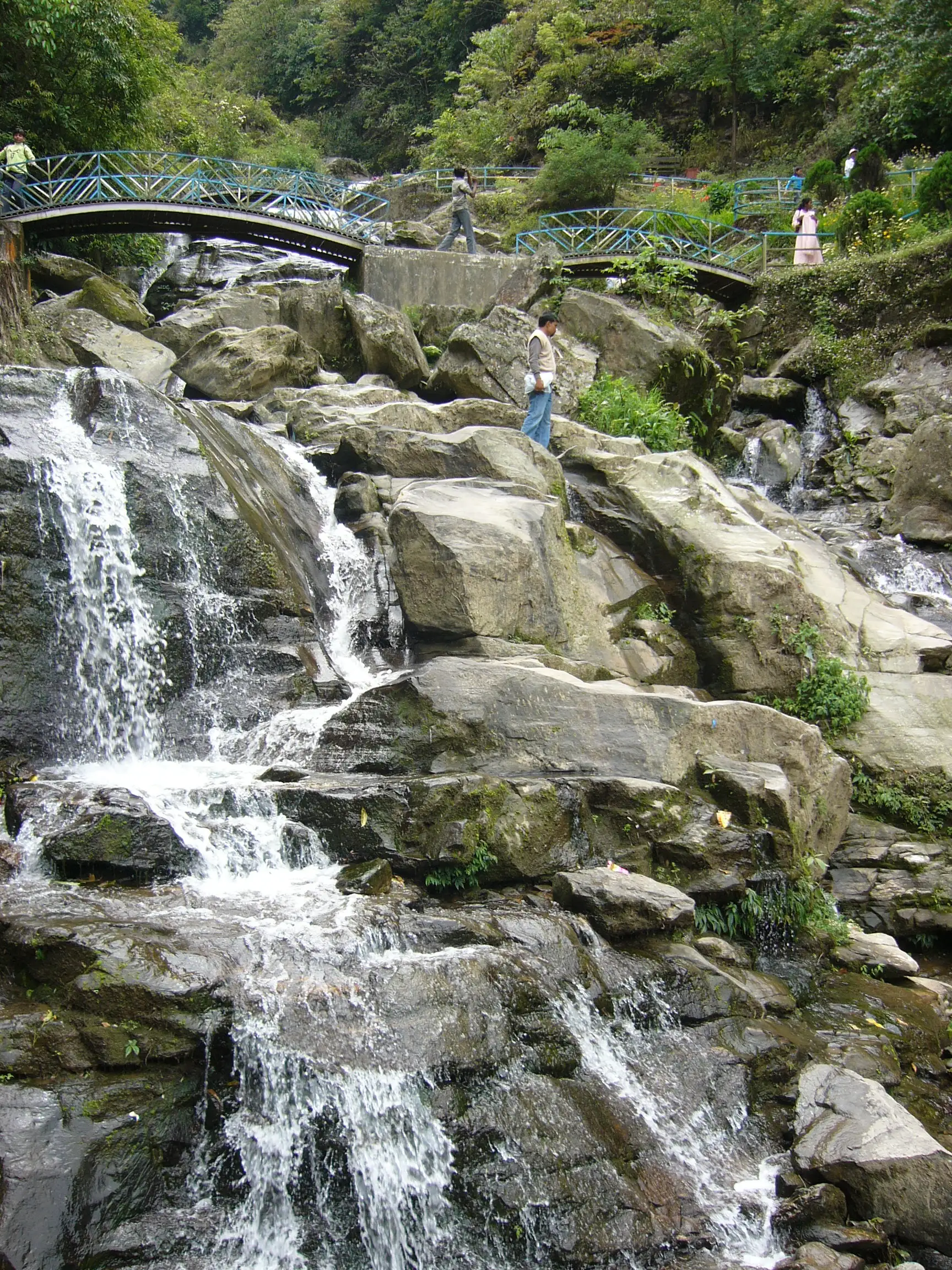 Top Tourist Places In Darjeeling: Travel Guide, Top Attractions, Travel Tips & How to Reach Waterfall in Rock Garden in Darjeeling