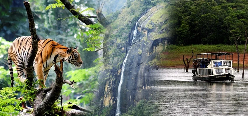 Top 10 Must Visit Destinations in Kerala: Discover Beauty and Culture of God's Own Country Thekkady in Kerala
