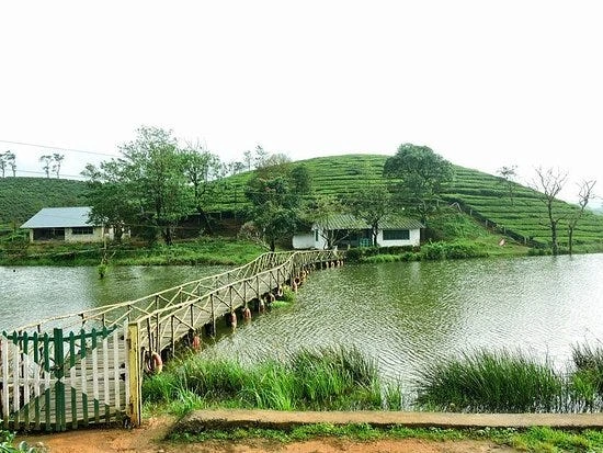 Top 10 Must Visit Destinations in Kerala: Discover Beauty and Culture of God's Own Country Vagamon in Kerala