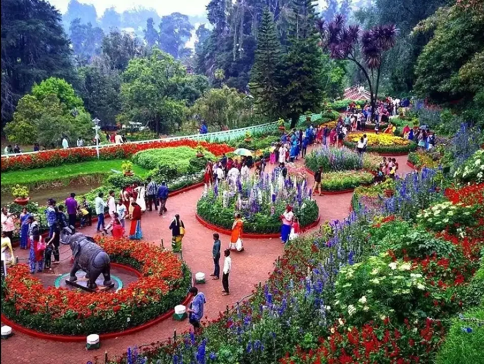 Top 10 Must-Visit Places in Ooty for Family & Couples: A Complete Travel Guide Botanical garden in Ooty